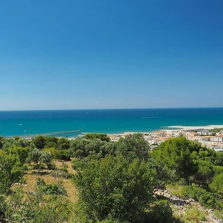 Grand T2 Esprit Loft Coeur De Ville Sète Exteriér fotografie